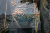 window_